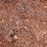 compost-007 compost-007