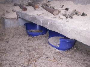 plot-004
