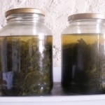 green sauerkraut