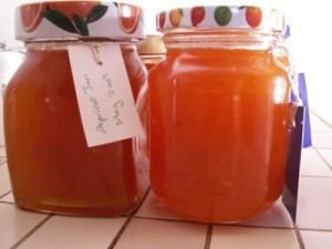 apriocot-jam