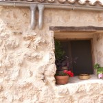 rainwater harvesting